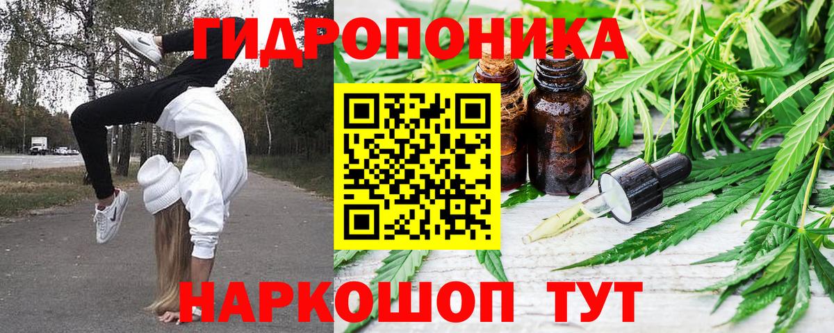Каннабис индика Бузулук